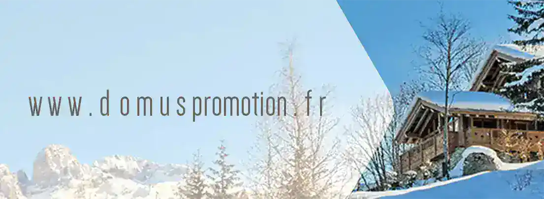 Programmes immobiliers en cours chez Domus Promotion